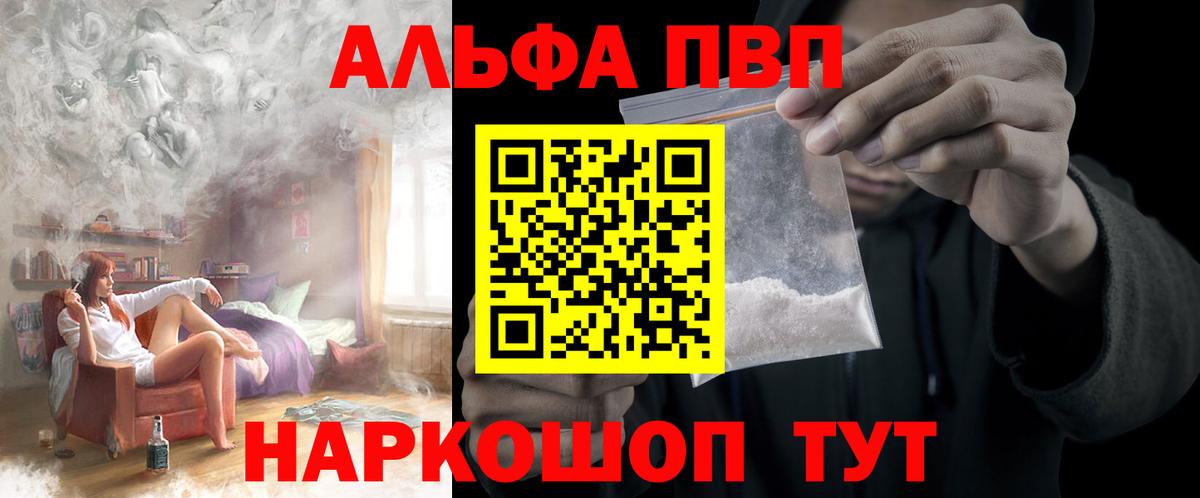 A-PVP СК КРИС Новоалтайск