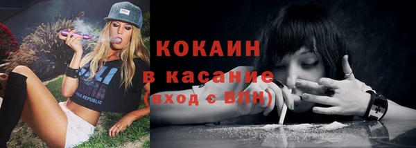 гидра Карпинск