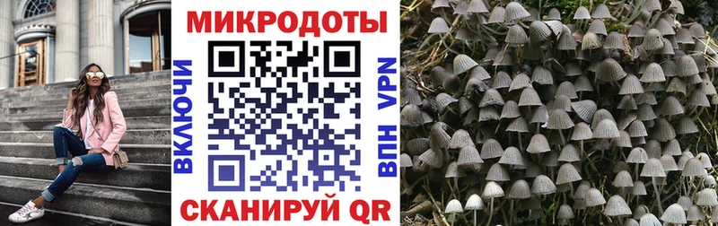 Галлюциногенные грибы Psilocybe  наркотики  Новоалтайск 