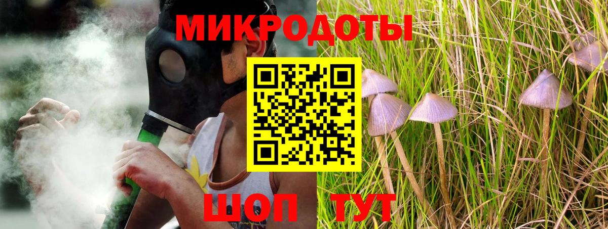 Псилоцибиновые грибы MAGIC MUSHROOMS Новоалтайск